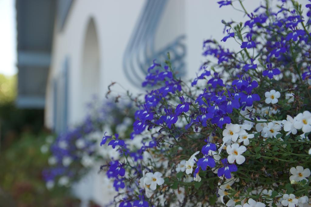 Chambre D'Hotes Etchebri Anglet Exteriér fotografie